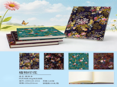 A8118 (Caja-64) "CUADERNO DE RAYA 80G TAMA ÑO B5 120 HOJAS"