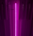 QL-T8C20WTRS 1200MM ECO TRANSPARENTE(50pcs/caja)