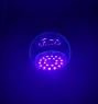 FOCO 9W UV (100 piezas/caja)