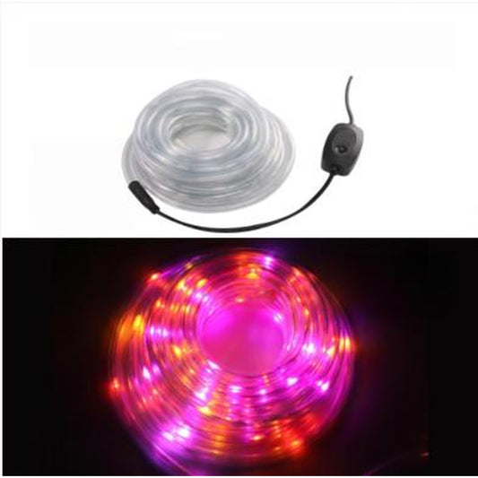 HZ8031 Manguera de gel LED (10 metros)