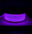 QL-MG2835 180D MORADO SINPIN (50 METROS)