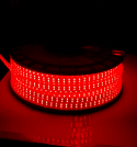 QL-MG2835 180D ROJO SINPIN (50 METROS)