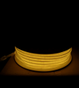 QL-MG2835 240D TIPO COB CALIDO SINPIN (50 METROS)