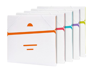 WD9616(Caja-200)FOLDER CON ELASTCA